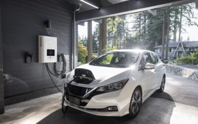 U.S. and Foreign Countries Make Trade Deals to Source EV Battery Minerals