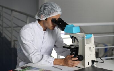 Scientists are Using Magnetic Fields to Grow Meat