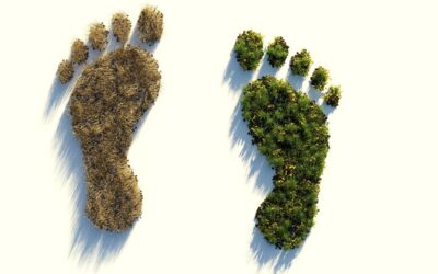 Epishine Groundbreaking Low-Carbon Footprint Goes Public
